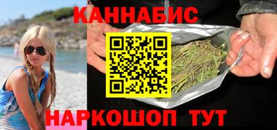 стаф Можга