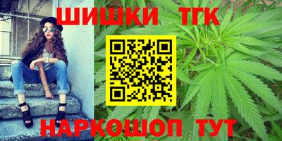 стаф Можга