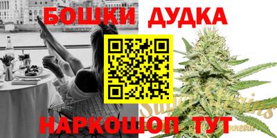стаф Можга