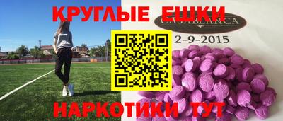 стаф Можга