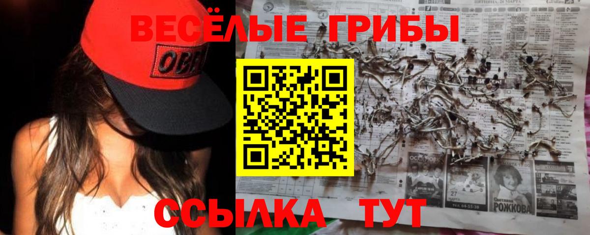 Псилоцибиновые грибы Psilocybe  Вход с VPN  Сердобск 